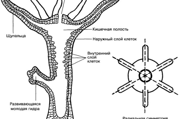 Телеграм гашиш